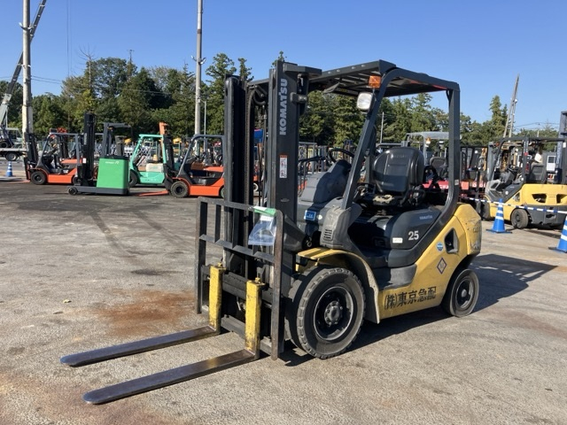 FG25T-17
